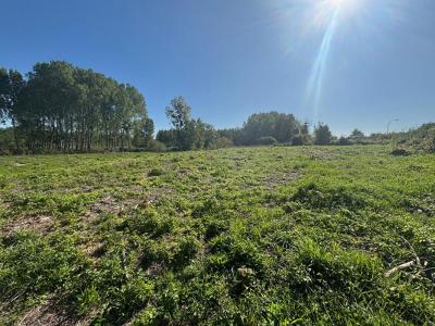 For sale Ortillon 5500 m2 Aube (10700) photo 2