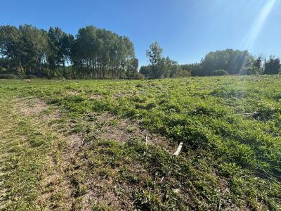 For sale Ortillon 5500 m2 Aube (10700) photo 4