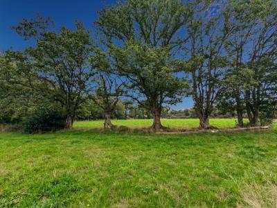 For sale Campbon 3 rooms 120 m2 Loire atlantique (44750) photo 4