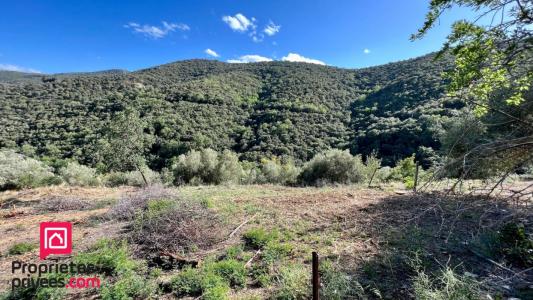 For sale Caixas 6800 m2 Pyrenees orientales (66300) photo 1
