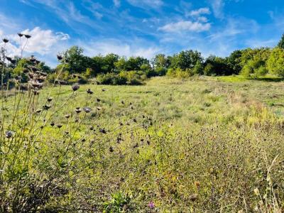 For sale Nogent-le-roi 945 m2 Eure et loir (28210) photo 0