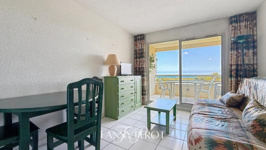 For sale Saint-cyprien 2 rooms 27 m2 Pyrenees orientales (66750) photo 3