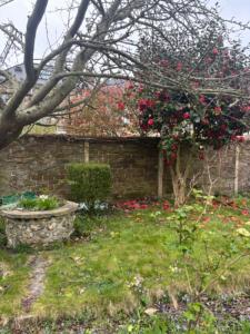 Annonce Vente 2 pices Maison Havre 76