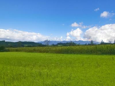 Annonce Vente Terrain Bidache 64