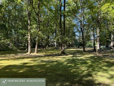 Acheter Maison Theillay Loir et cher
