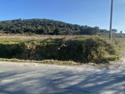 For sale Plaissan 5980 m2 Herault (34230) photo 1