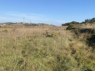 For sale Plaissan 5980 m2 Herault (34230) photo 2