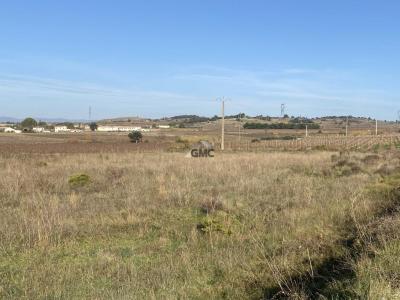 For sale Plaissan 5980 m2 Herault (34230) photo 3