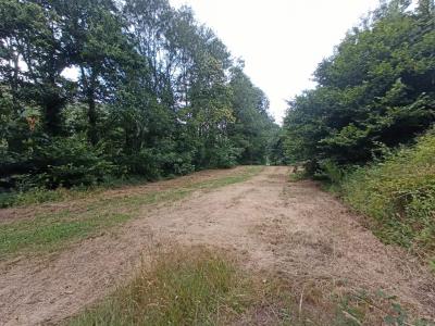 For sale Courniou Herault (34220) photo 1