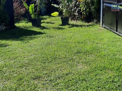 For rent Bras-panon 28 m2 Reunion (97412) photo 2