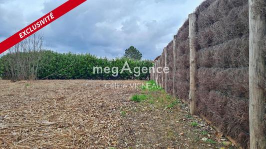 For sale Rion-des-landes 1000 m2 Landes (40370) photo 2
