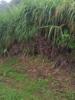 For sale Land Sainte-marie  1283 m2