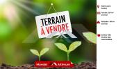 For sale Land Saint-louis  724 m2