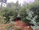 Vente Maison Arcachon  4 pieces 90 m2