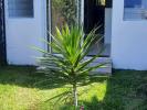 For rent Apartment Bras-panon 28 m2