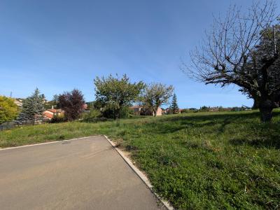 Annonce Vente Terrain Genay 69