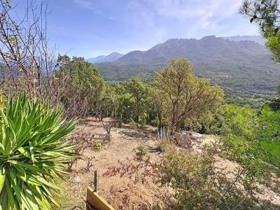 Annonce Vente Terrain Tavaco 20