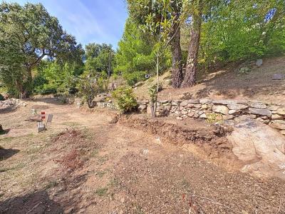 Acheter Terrain Tavaco Corse