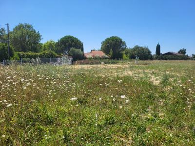 For sale Escalquens 575 m2 Haute garonne (31750) photo 3