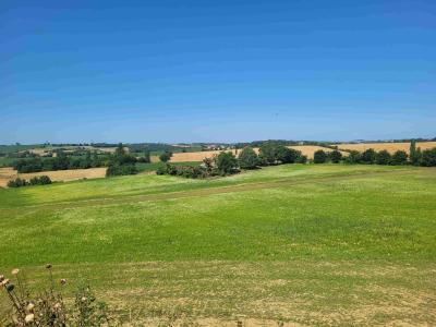 For sale Albiac SAGREVILLE 592 m2 Haute garonne (31460) photo 0