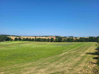 Annonce Vente Terrain Albiac 31