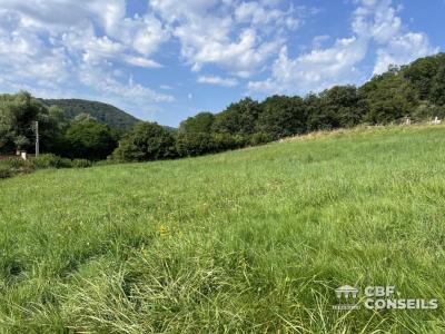 Acheter Terrain 1636 m2 Saint-sernin-du-bois