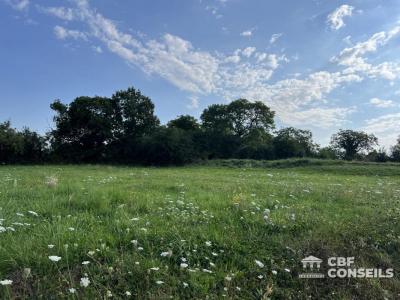Acheter Terrain Saint-sernin-du-bois 58846 euros