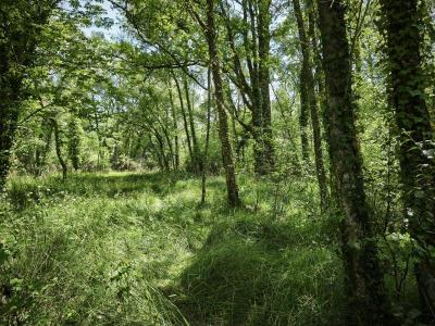 For sale Asserac 3 rooms 32 m2 Loire atlantique (44410) photo 4