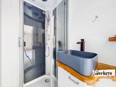 Acheter Maison Roches-de-condrieu 300000 euros