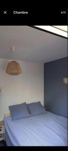 For rent Lacanau 2 rooms 30 m2 Gironde (33680) photo 3