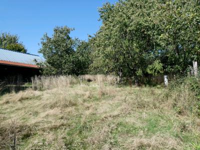 Annonce Vente Maison Ambrieres-les-vallees 53