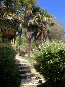 Acheter Maison Bellegarde-sainte-marie 518000 euros