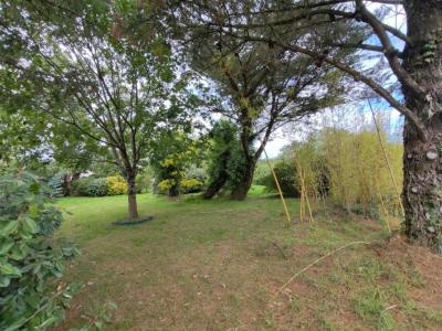 For sale Bourgneuf-en-retz Loire atlantique (44580) photo 2