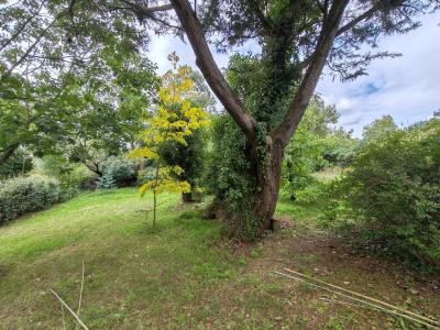 For sale Bourgneuf-en-retz Loire atlantique (44580) photo 3
