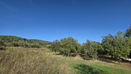 For sale Tavernes 1490 m2 Var (83670) photo 0