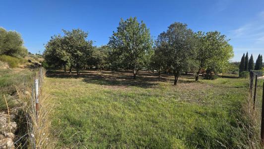For sale Tavernes 1490 m2 Var (83670) photo 2