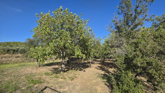 For sale Tavernes 1490 m2 Var (83670) photo 3