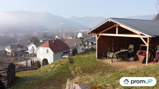 Acheter Terrain 529 m2 Guebwiller