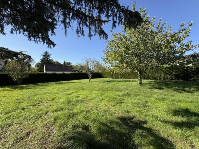Annonce Vente Terrain Poinconnet 36