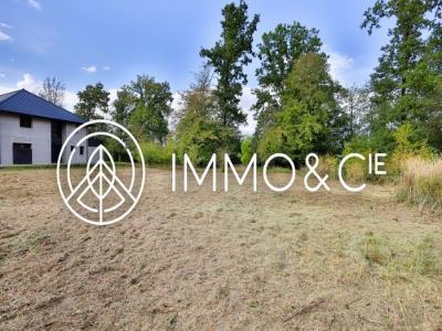 Annonce Vente Terrain Merignies 59