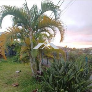For sale Tampon 438 m2 Reunion (97430) photo 0