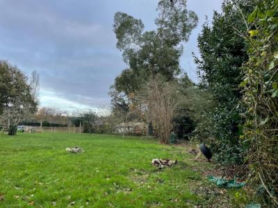 For sale Saint-briac-sur-mer 982 m2 Ille et vilaine (35800) photo 1