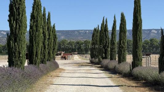 For sale Mallemort 5 rooms 90 m2 Bouches du Rhone (13370) photo 0