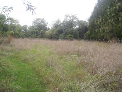 For sale Chavanges 2800 m2 Aube (10330) photo 0