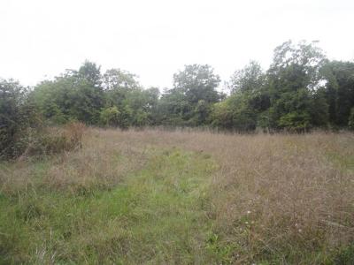 For sale Chavanges 2800 m2 Aube (10330) photo 1
