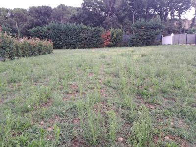 For sale Saze Gard (30650) photo 1