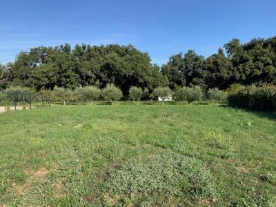 For sale Saze Gard (30650) photo 2