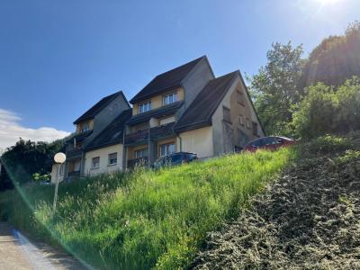 For rent Saint-amarin 4 rooms 79 m2 Haut rhin (68550) photo 0