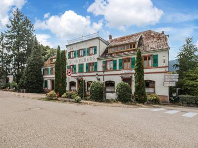 Annonce Vente 19 pices Maison Wangenbourg-engenthal 67