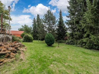 Acheter Maison 600 m2 Wangenbourg-engenthal